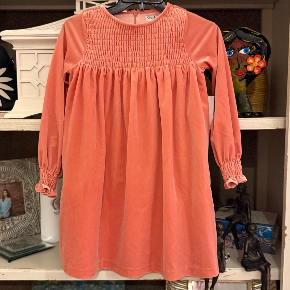 Gabby girls smocked velvet holiday dress sz 10